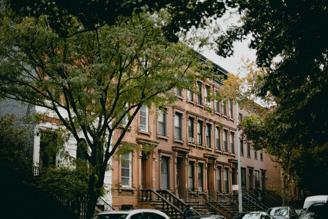 The Harlem Renaissance Re-Imagined: Why It Still Shapes Art & Fashion in 2025
